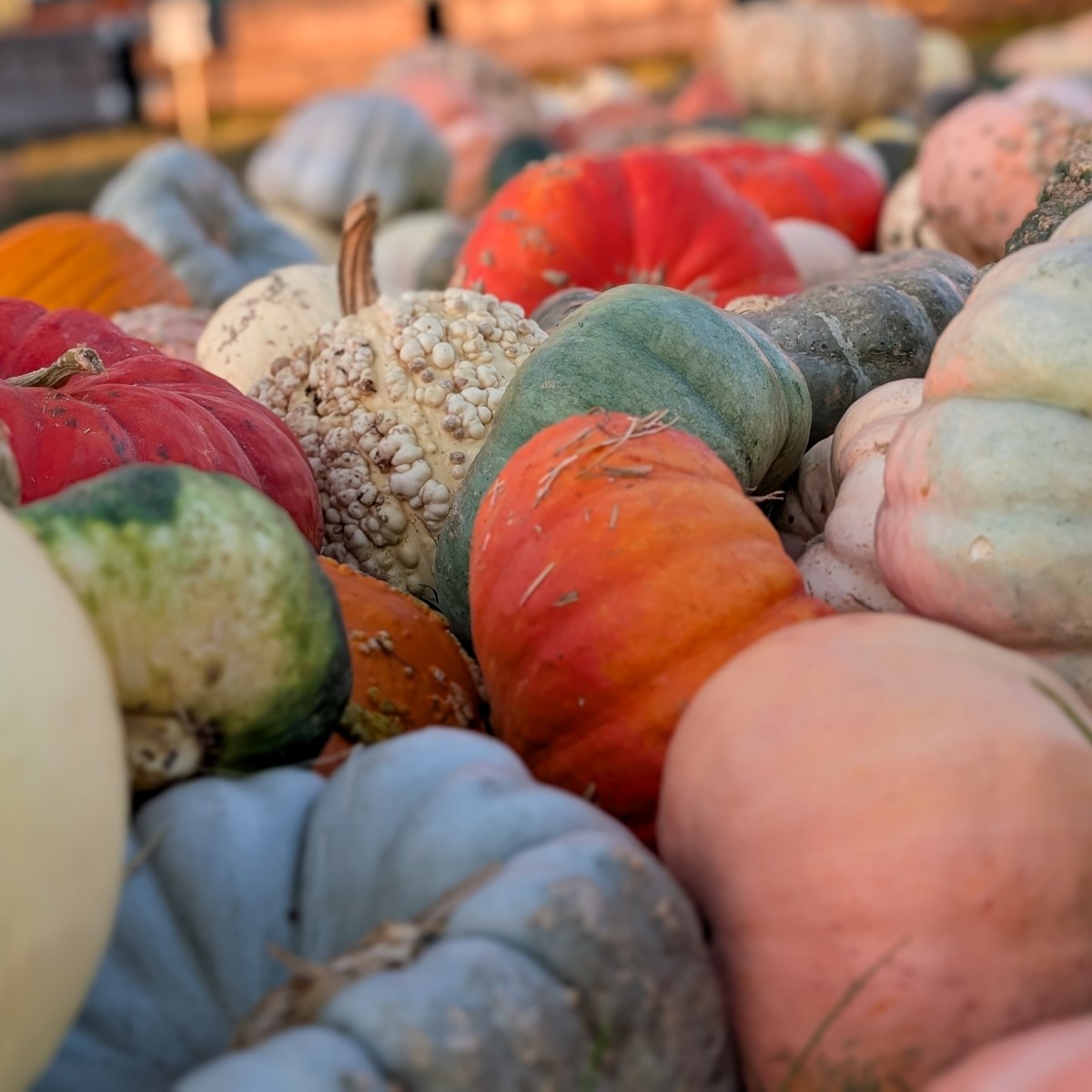 Halloween Events in Nicholasville, Kentucky&nbsp;(CKY)